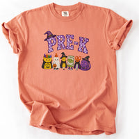 Pre-K Halloween Supplies Tee in Terracotta